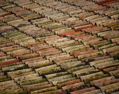 brown roof bricks at daytime