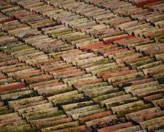 brown roof bricks at daytime