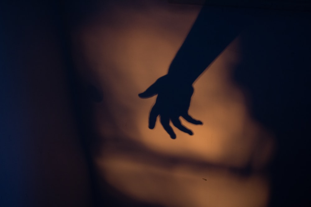 silhouette photography of human hand