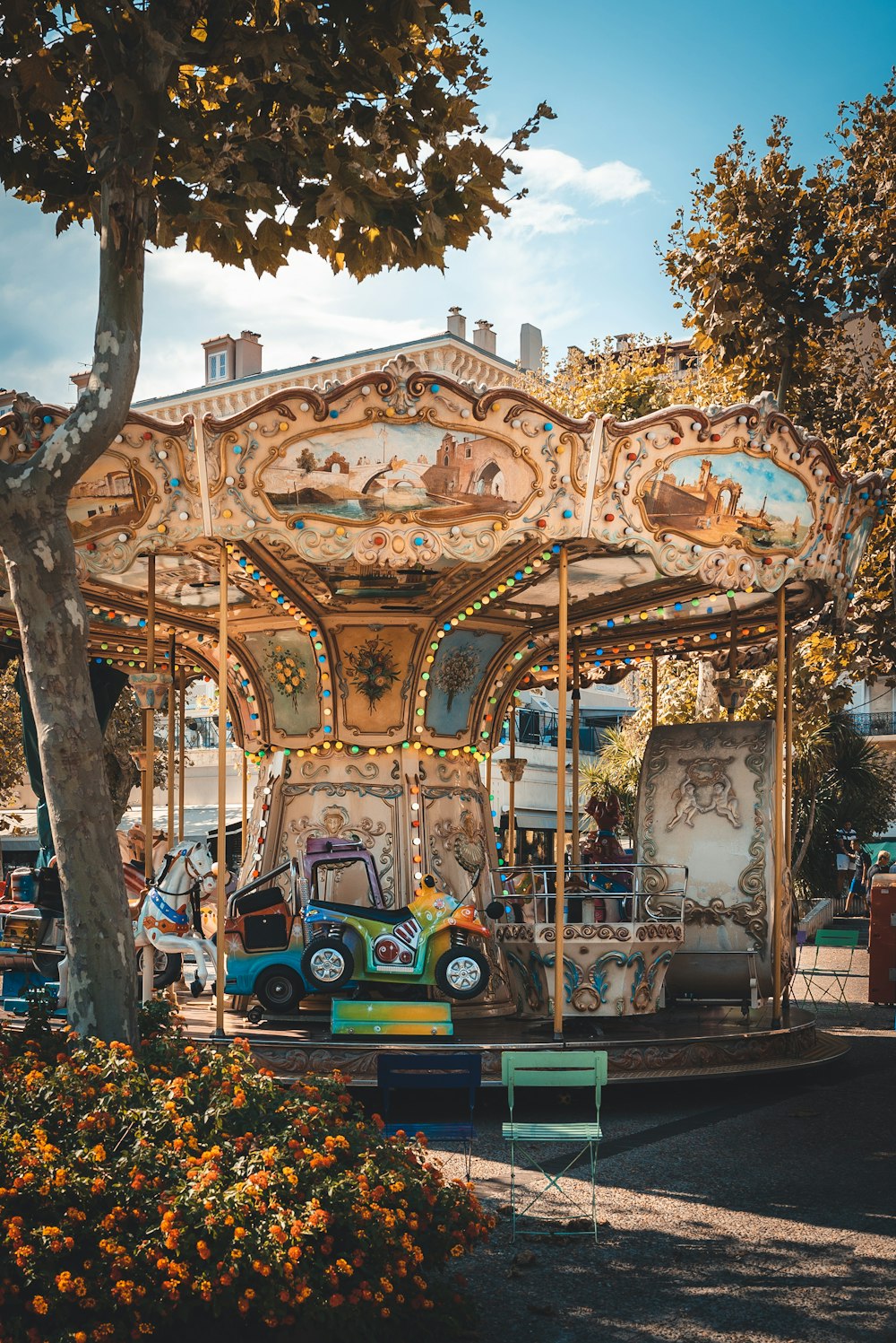 multicolored carousel near brown leaf trees at daytime