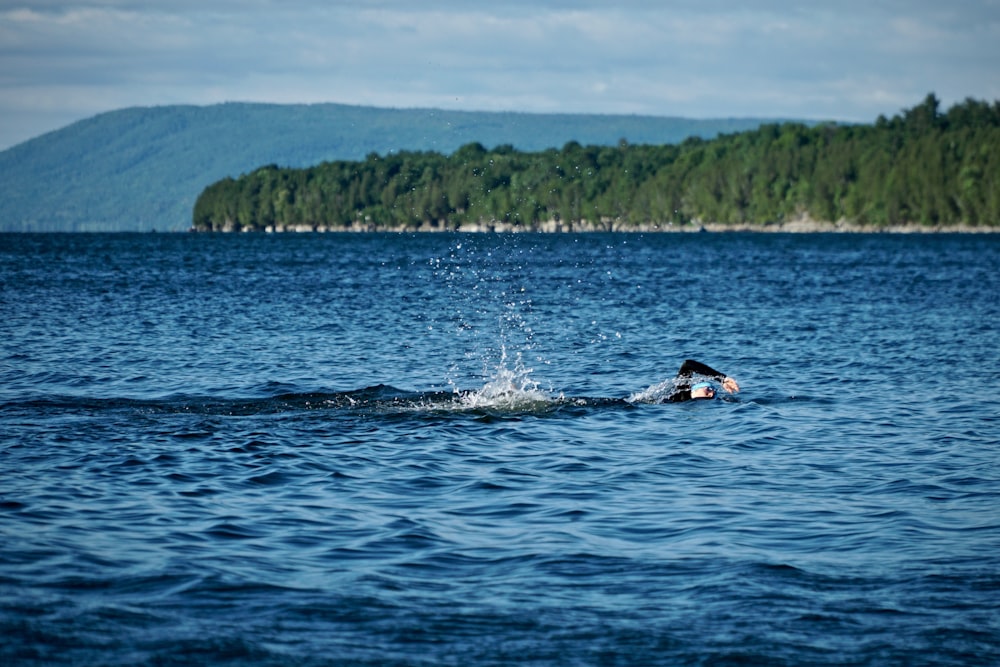 person swimming in sea