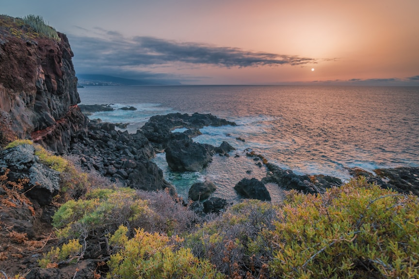 rock formation and shrubs beside sea at daytime