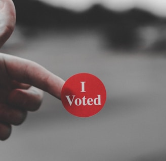 a hand holding a red button that says i vote