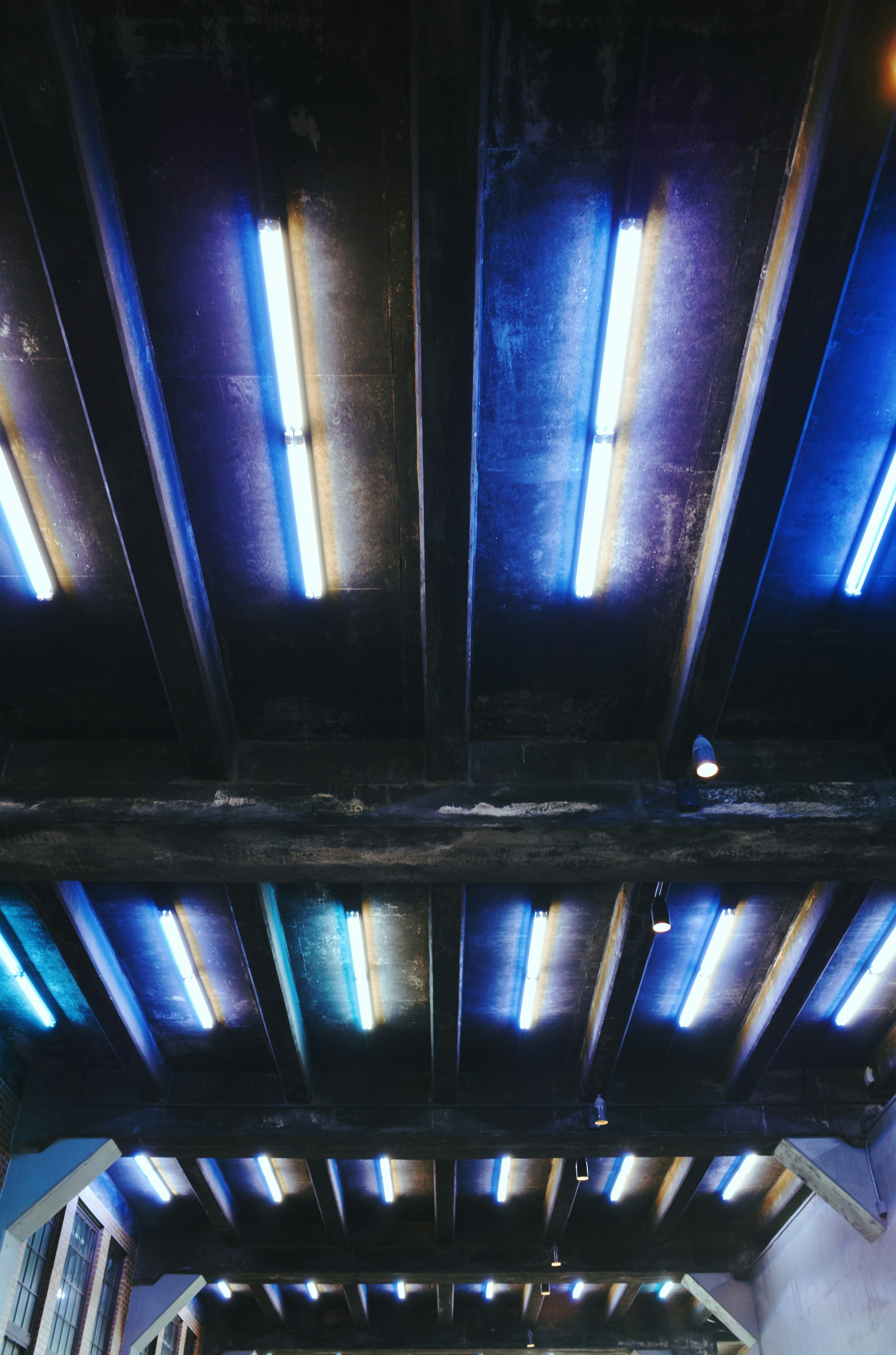Fluorescent tube lights on white ceiling in commercial interior