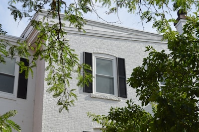 trees near white 2-story house