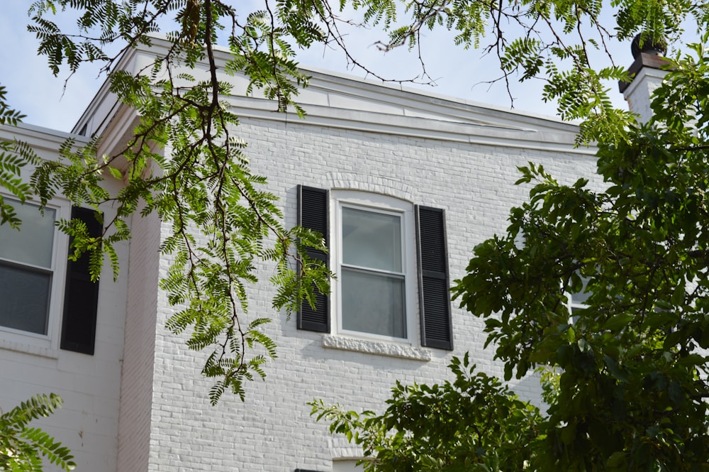 Árboles cerca de White 2-Story House