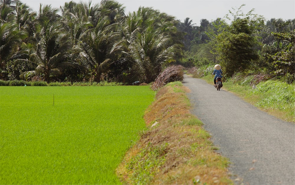 person riding motorcycle on road