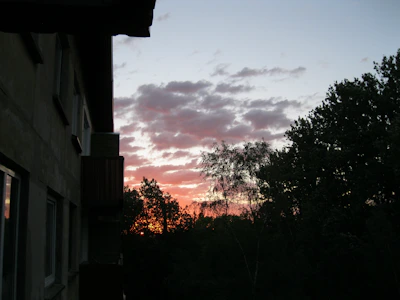 A sunset view of the college campus with silhouetted buildings and trees.