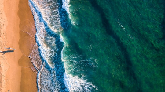 sea beside brown sand beach in Maroubra Beach Australia