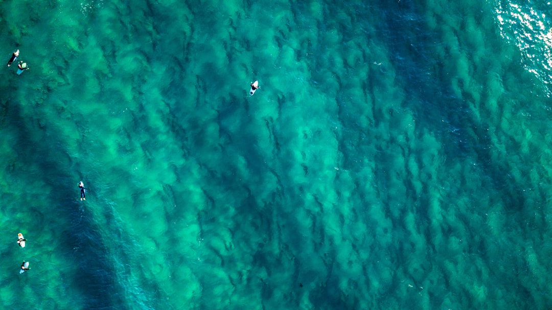 Underwater photo spot Maroubra Beach Tamarama