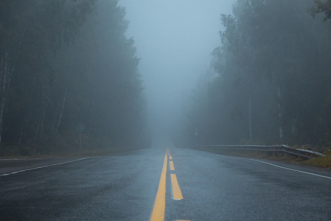 empty road between forest