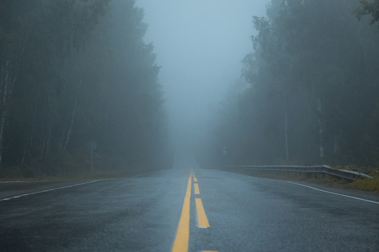 Strada dritta in mezzo a un bosco che si perde nella nebbia, senza che se ne veda la fine