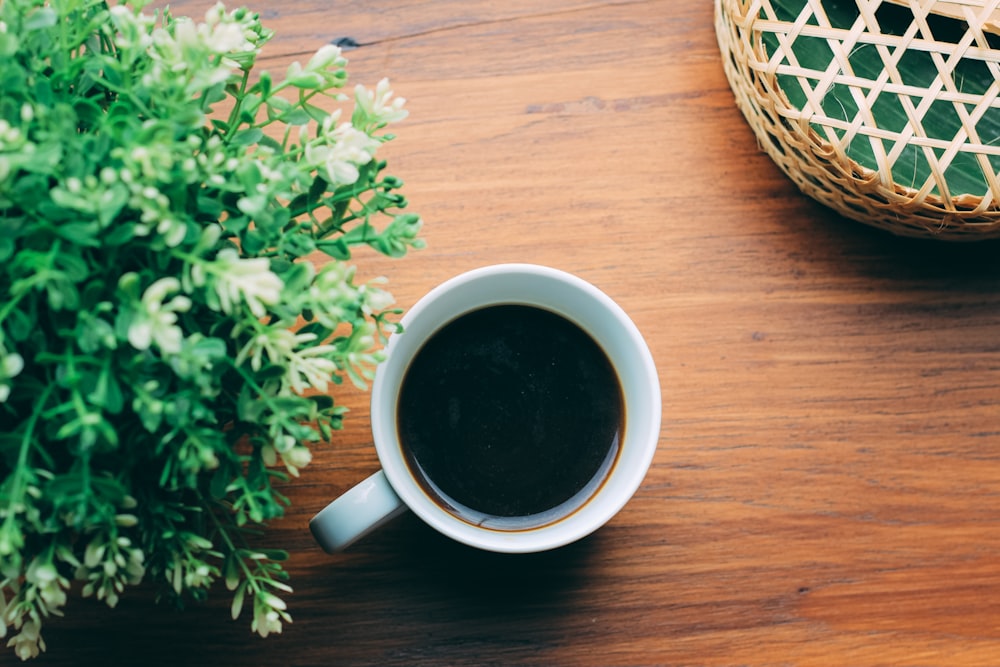 taza de café de cerámica blanca junto a planta blanca y verde