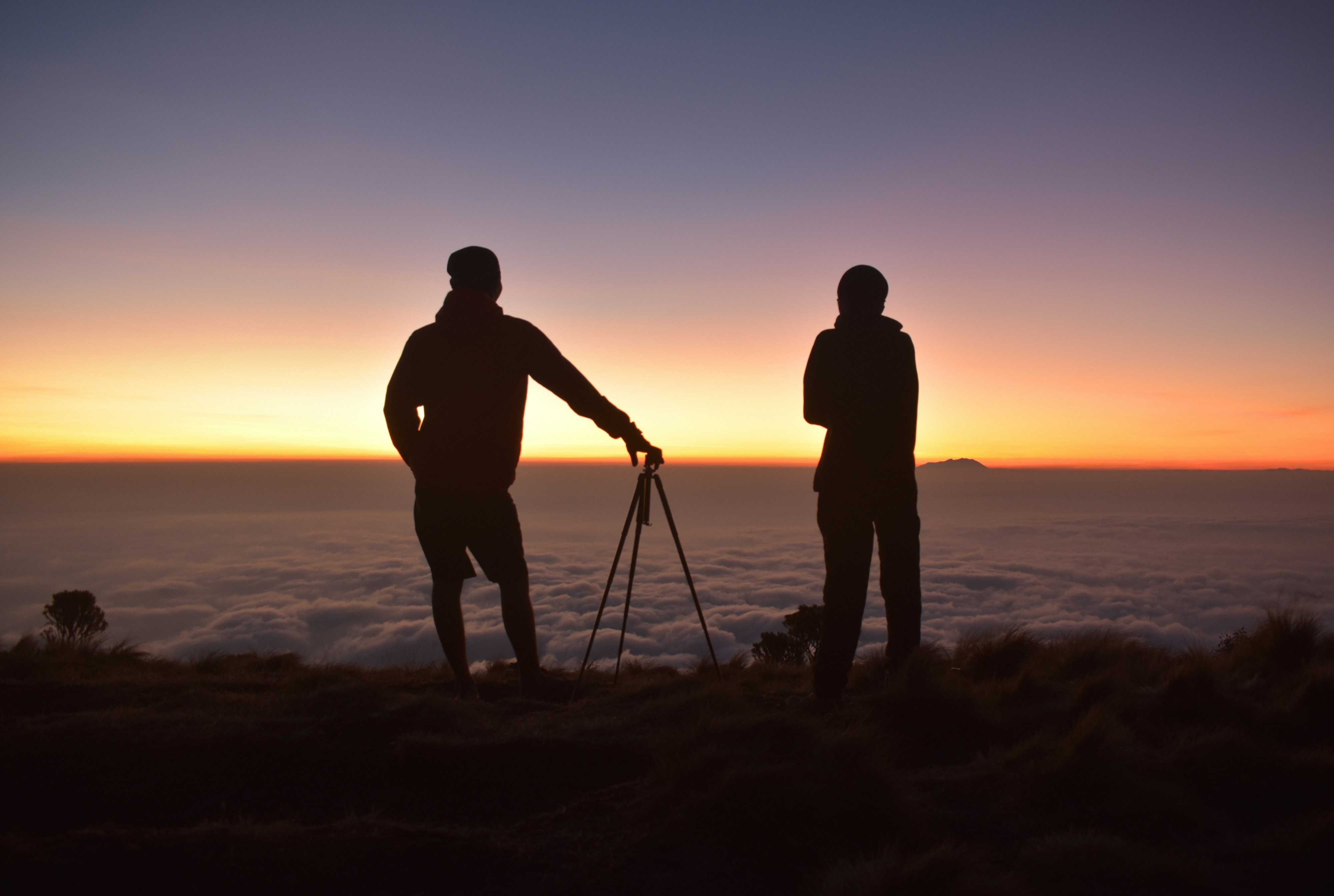 silhouette of two people