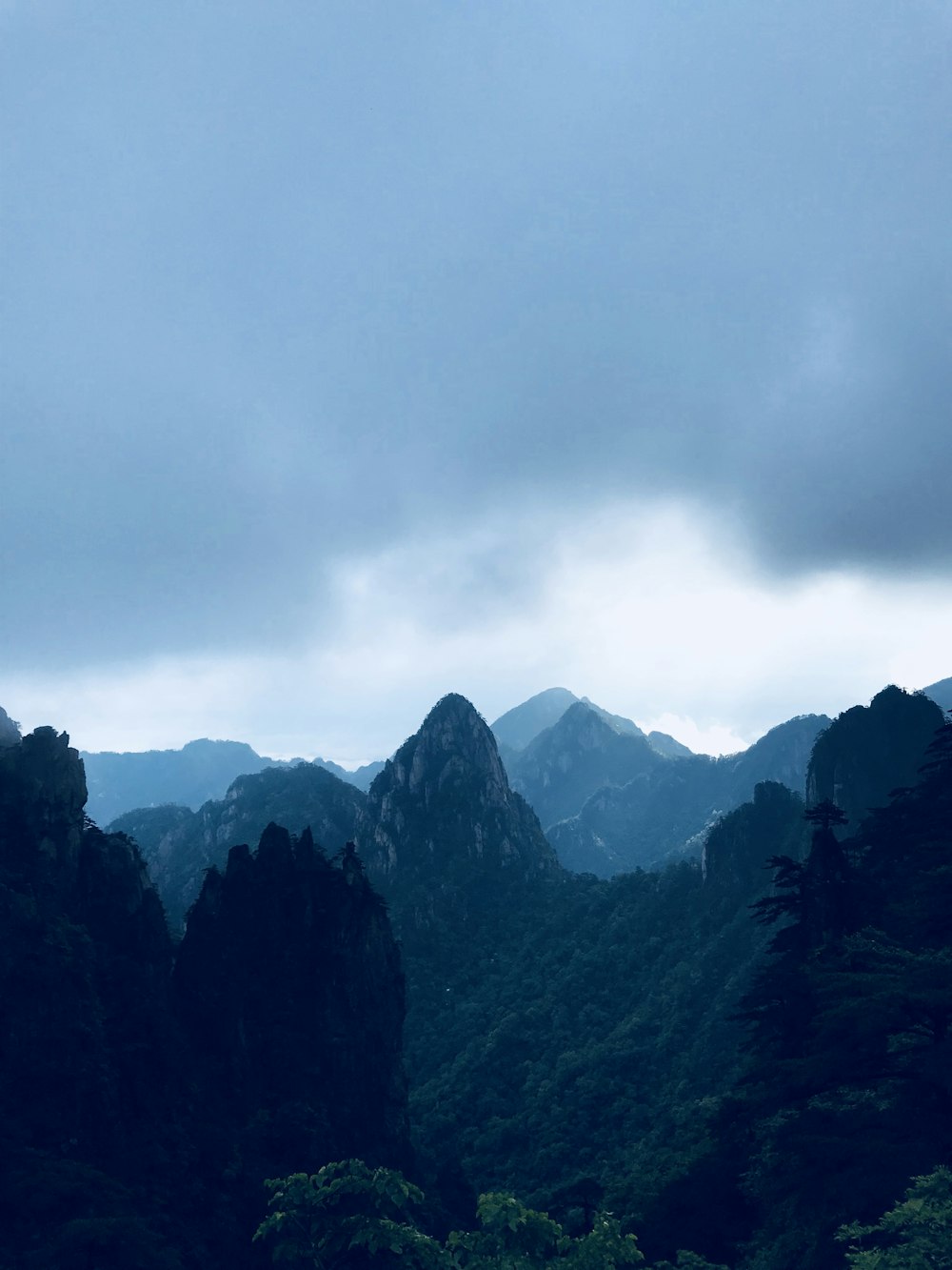 photo of mountains and trees