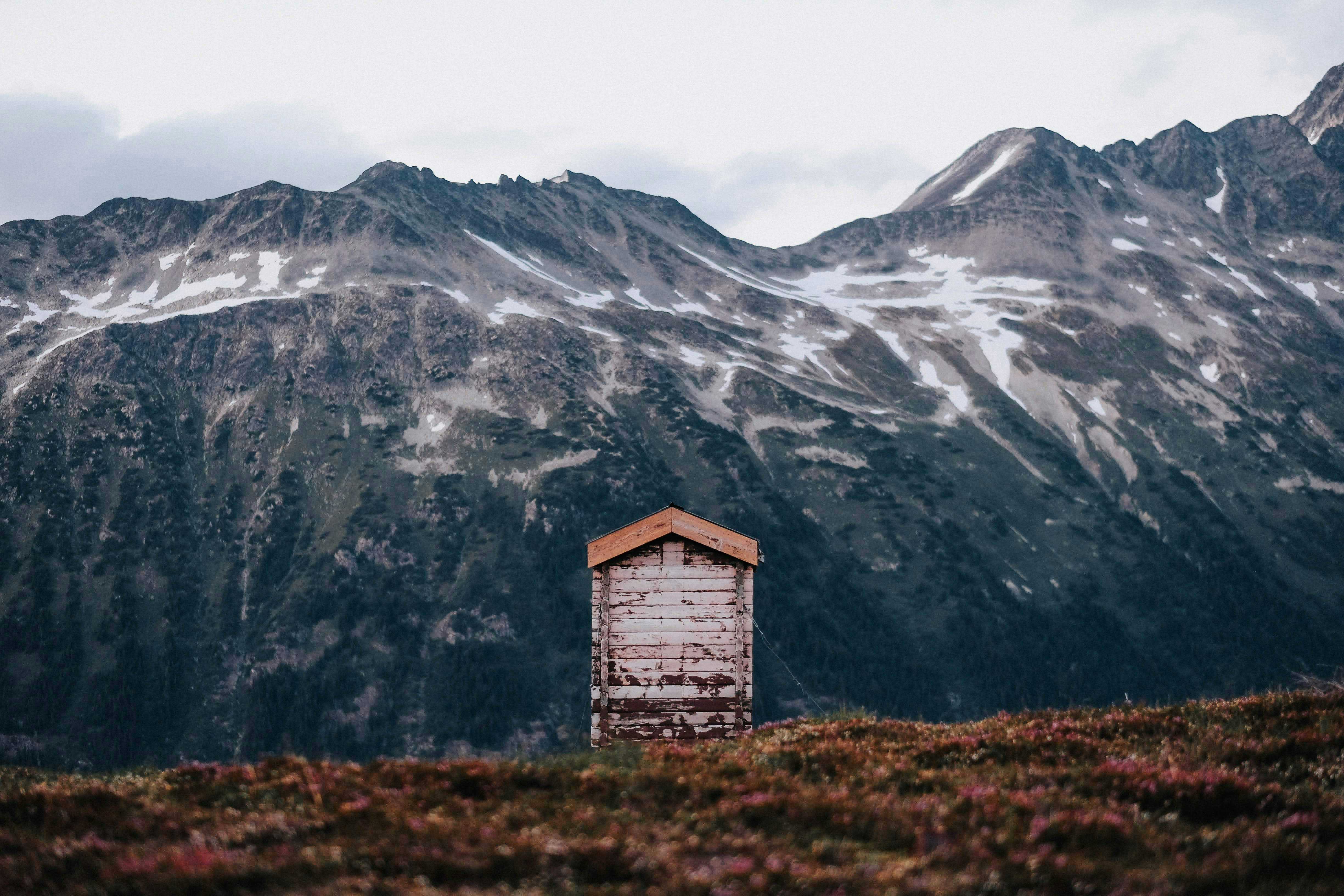 white and brown house facing mountain