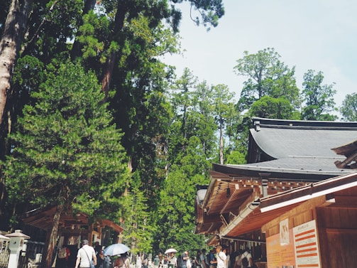 A vibrant scene features a traditional wooden building with a sloped roof, surrounded by lush green trees. Several people walk along the path, some carrying umbrellas for shade. The atmosphere is serene yet lively, suggesting a popular tourist destination or a cultural site.