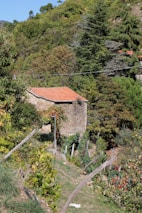 A rustic stone building is situated amidst lush greenery, with a red-tiled roof. The surrounding area is filled with dense vegetation, including a variety of trees and plants. The setting appears to be rural, with a small vineyard or garden in the foreground supported by wooden stakes.
