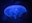 cleevergames.com favicon
