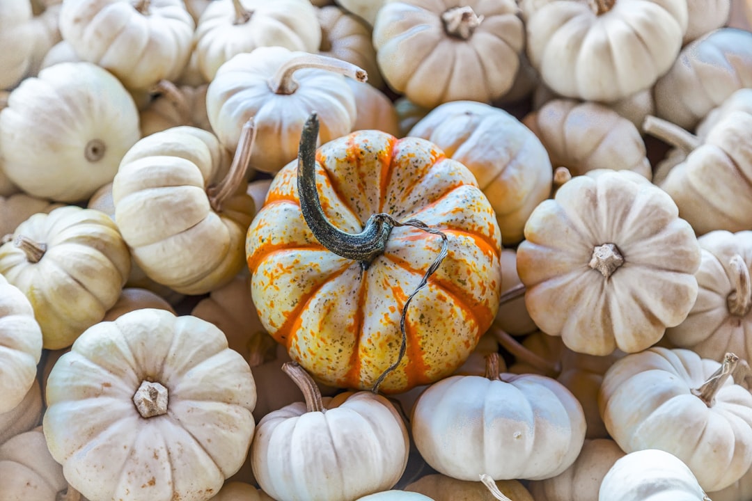 bunch of squashes, Impostor