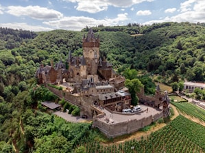 A large, historic castle surrounded by lush, green forest located on a hill. The stone structure features multiple turrets and towers, with a central tower dominating the skyline. The courtyard is busy with people and several parked vehicles. Vineyards are present on the lower slopes around the castle.