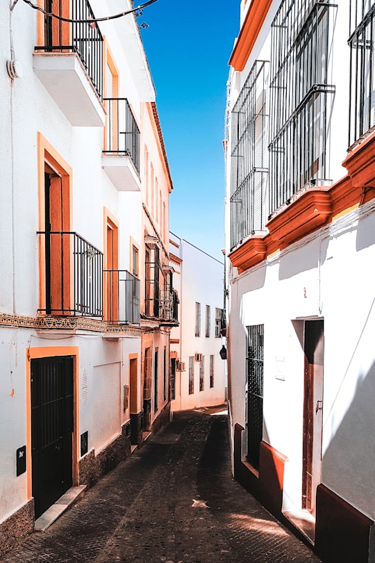 gray road in between concrete building at daytime in Jerez de la Frontera Spain