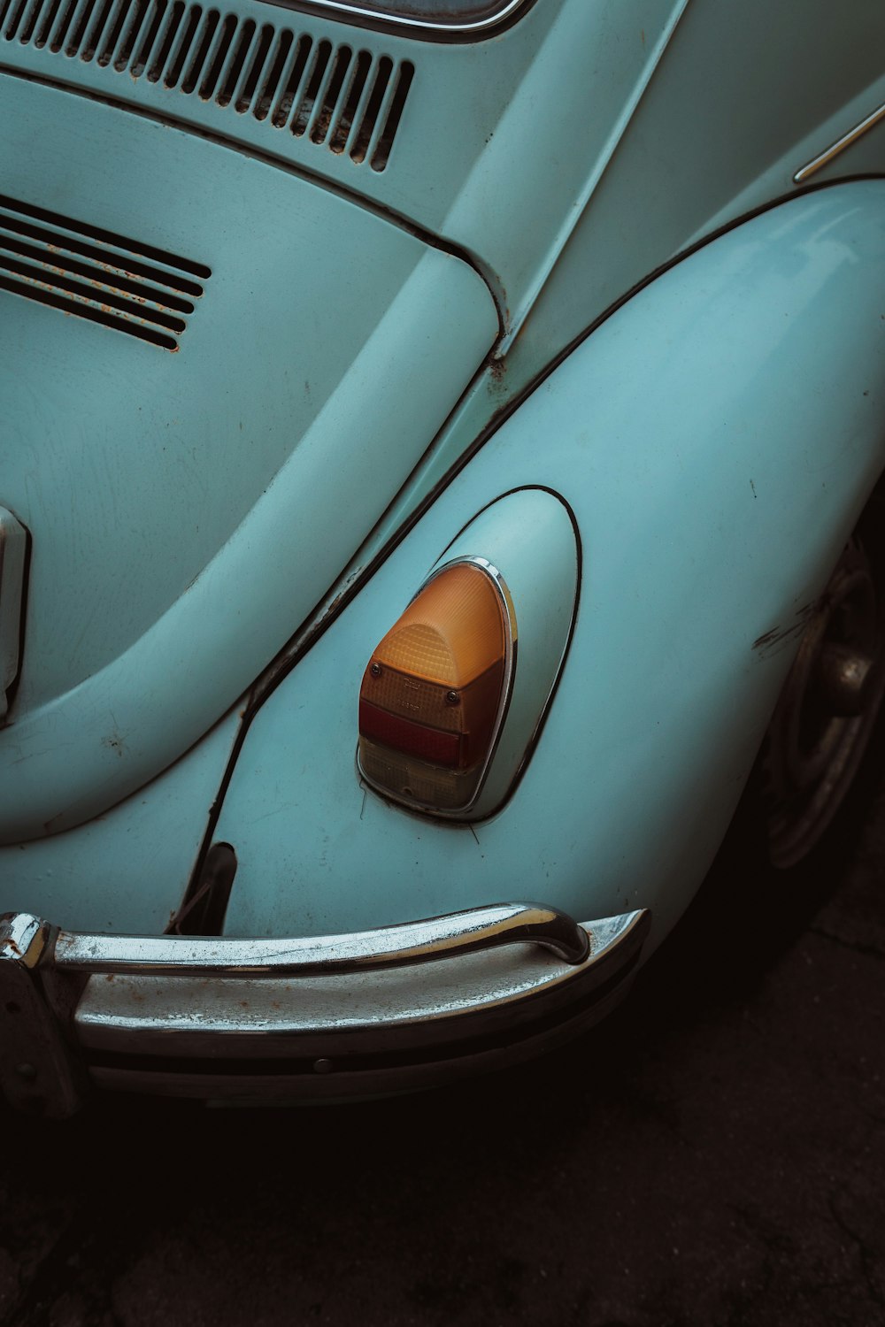 white beetle on road