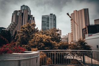 A cityscape featuring modern high-rise buildings with interesting architecture, including one with uniquely structured windows. In the foreground, lush green and reddish foliage can be seen, bordered by a metallic railing. A construction crane is visible in the background, indicating urban development.