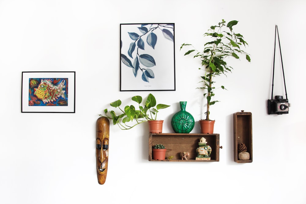 Nature-Inspired Wall Decor to Bring the Outdoors In