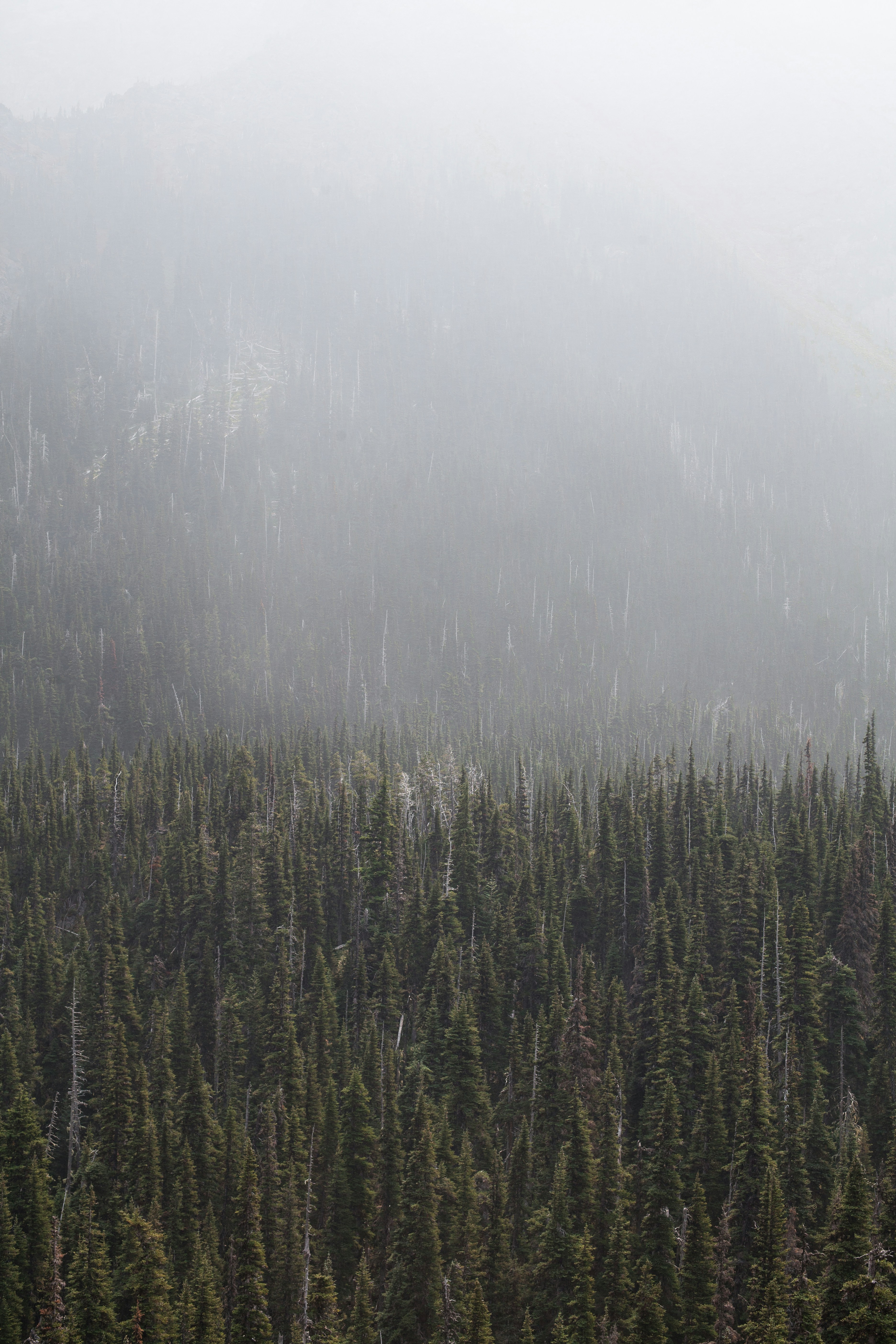 Photo by nickrbolton