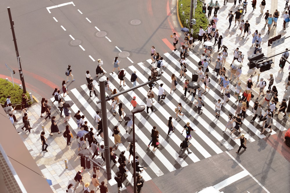people walking on pedestrian lane during day time