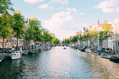 body of water under white sky amsterdam zoom background