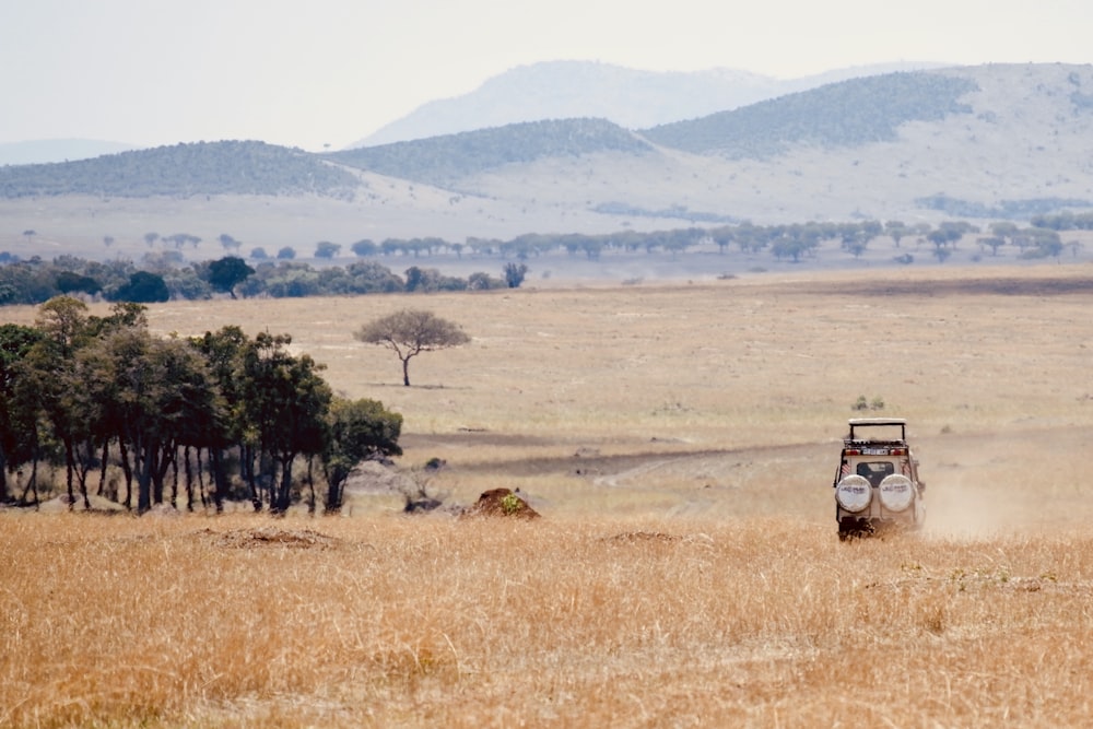 brown car at field