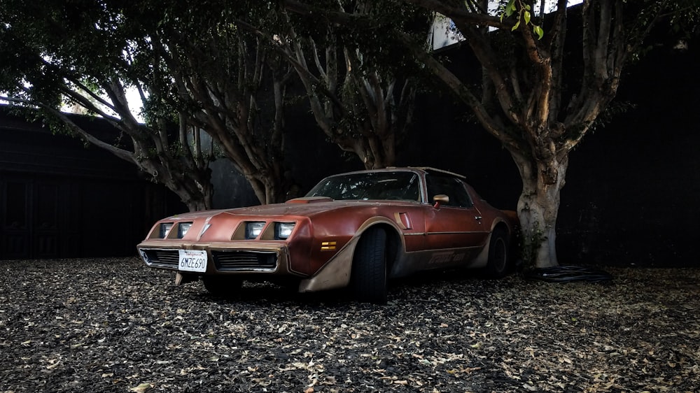 red sports boupe parked between two trees