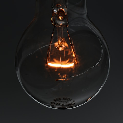 closeup photo of light bulb