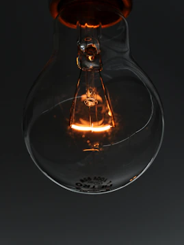 closeup photo of light bulb
