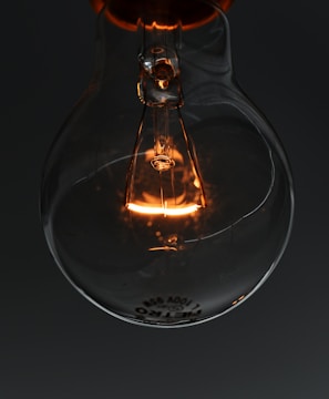 closeup photo of light bulb