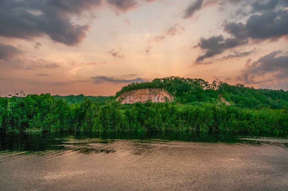 Photographie de paysage de grands arbres près de la montagne et du plan d’eau