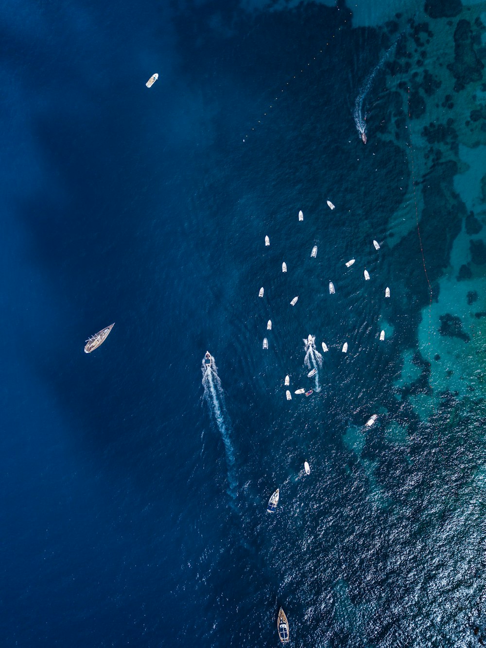 boat in the middle of the sea