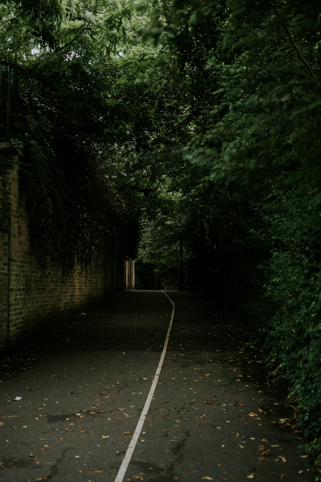 Forest photo spot London Guildford