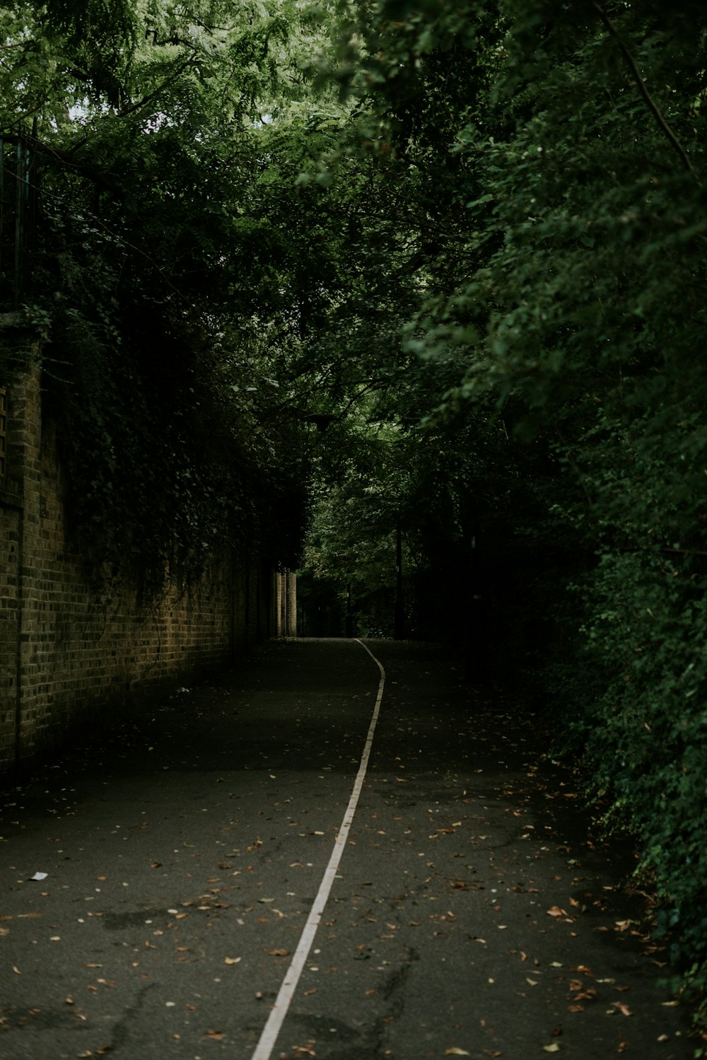 pavement between brick wall and trees