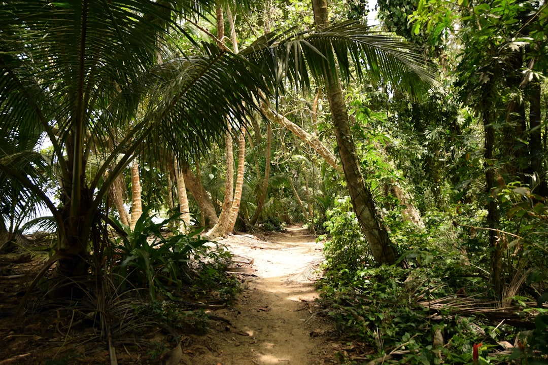 Costa Rica sustainable forestry project