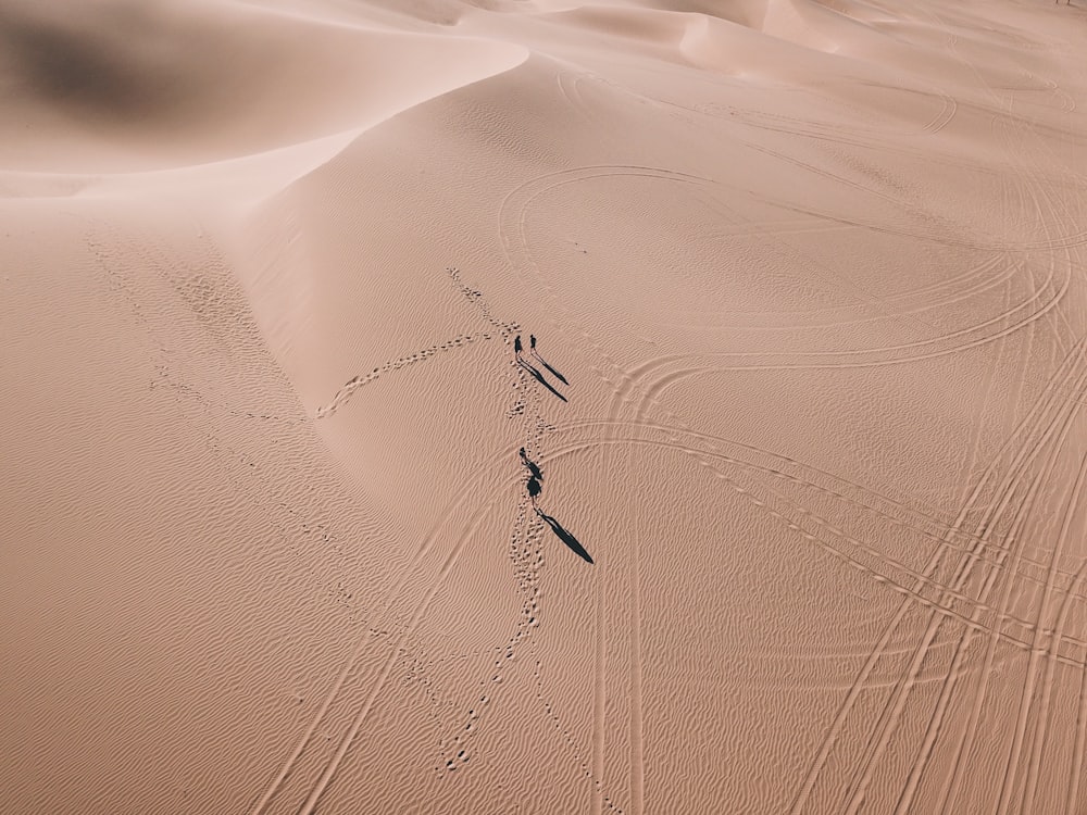 aerial view of desert