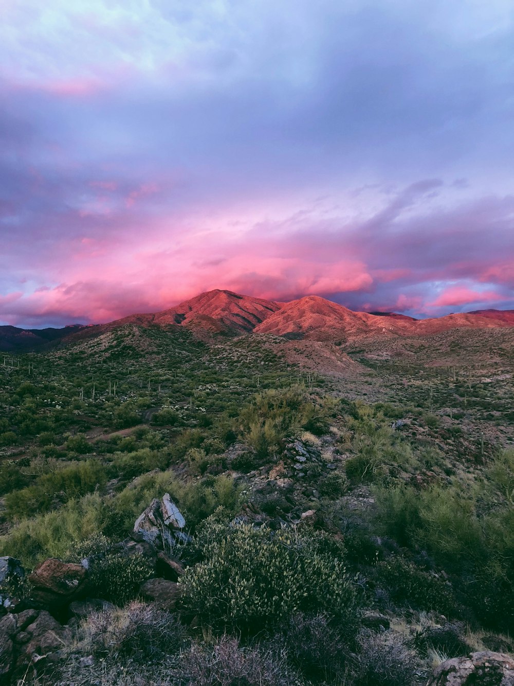 landscape photography of mountain