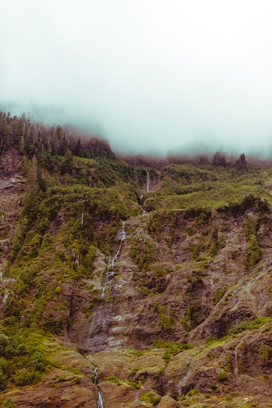 waterfalls landscape photo in Olympic National Park United States