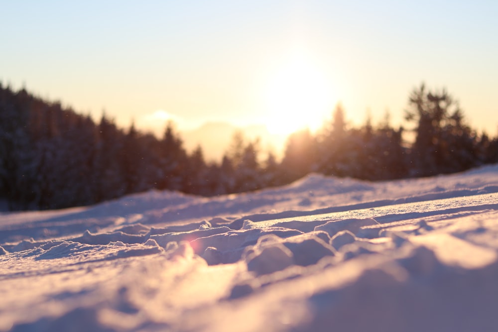 closed up photography of snow near tree