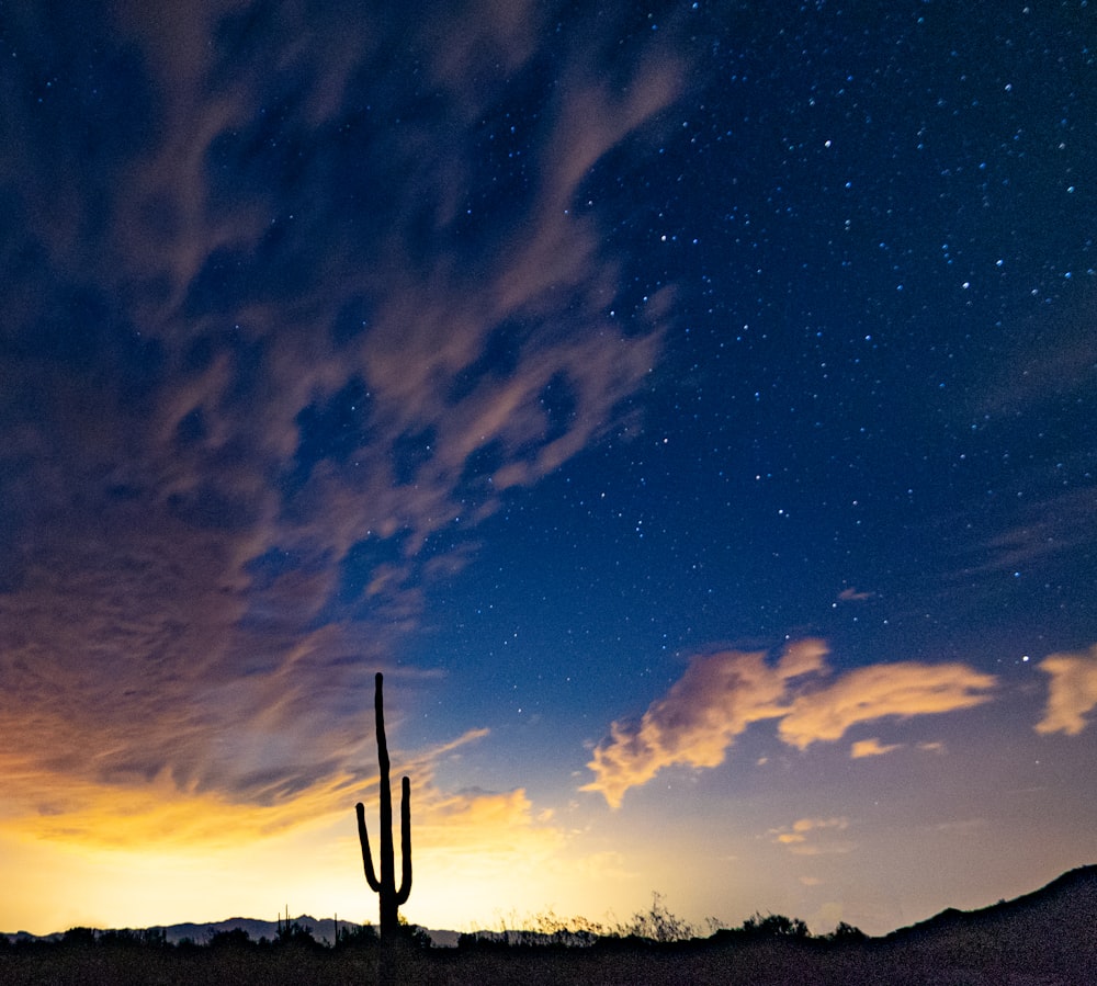 desierto durante la noche