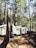 Rows of canvas tents are nestled among tall pine trees, with sunlight filtering through the leaves creating dappled shadows on the ground. The setting appears serene and natural.