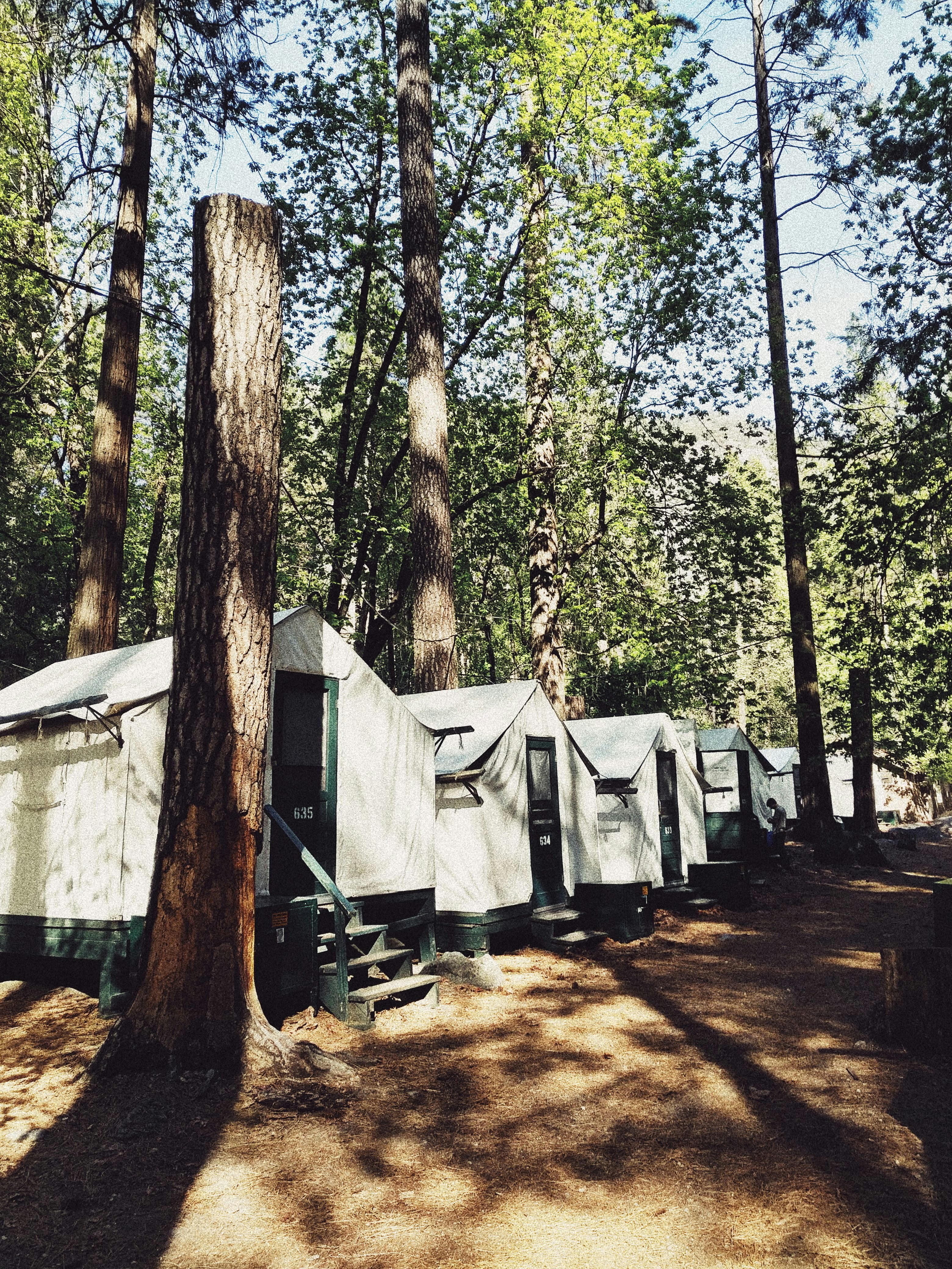 photo-1534379612571-782d68781fd2?ixid=M3