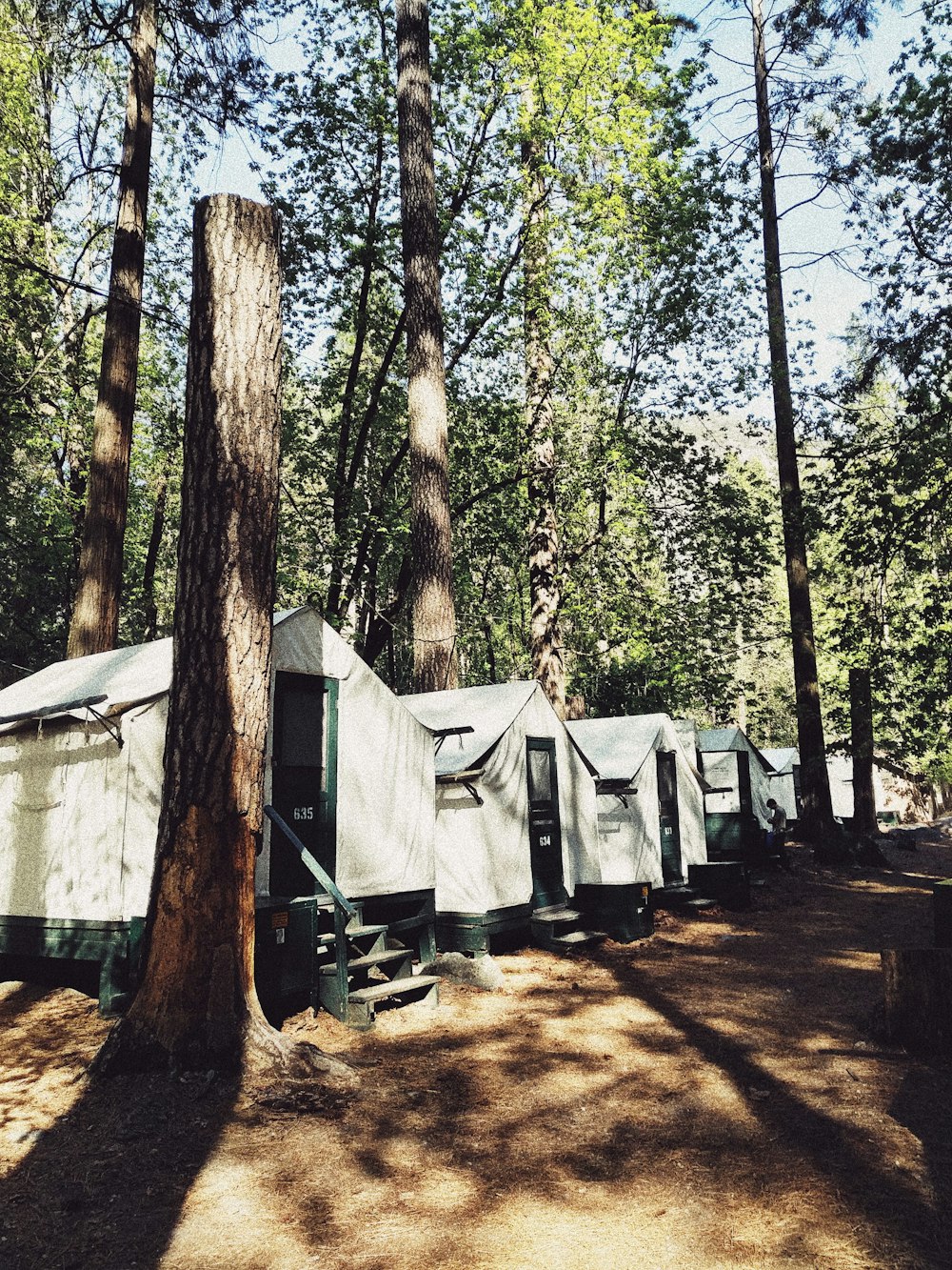 white cabin on forest